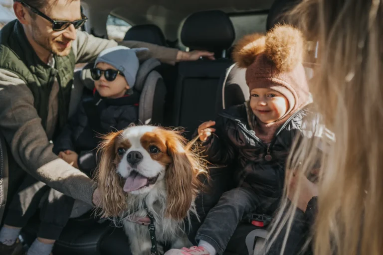 Rodzinne auto, które dopasuje się do Ciebie